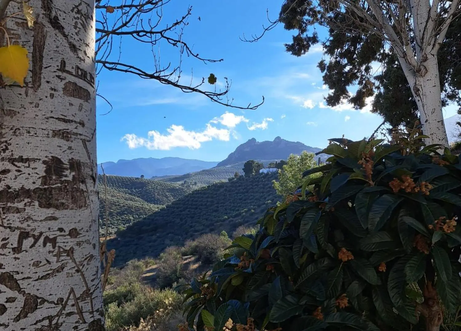 Homestay Habitacion Con Bano Privado En Piso Compartido Centrico